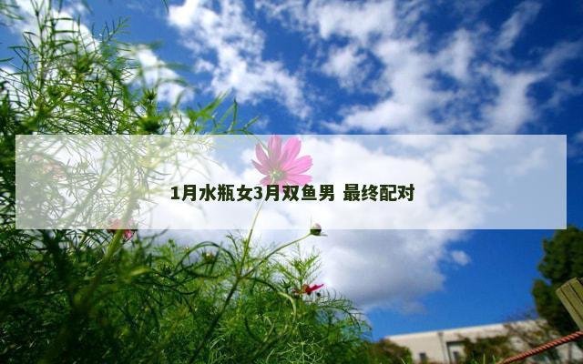 1月水瓶女3月双鱼男 最终配对