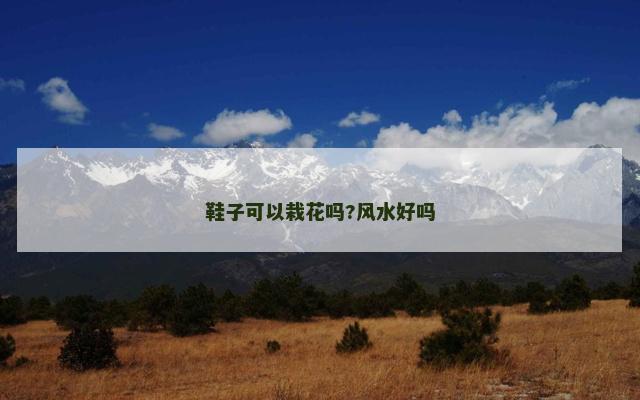 鞋子可以栽花吗?风水好吗