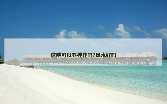 庭院可以养桂花吗?风水好吗