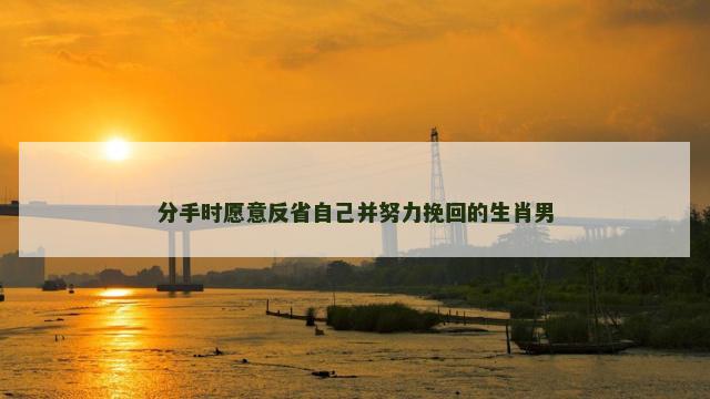 分手时愿意反省自己并努力挽回的生肖男