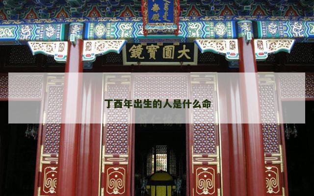 丁酉年出生的人是什么命