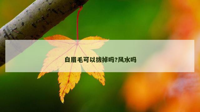 白眉毛可以拔掉吗?风水吗