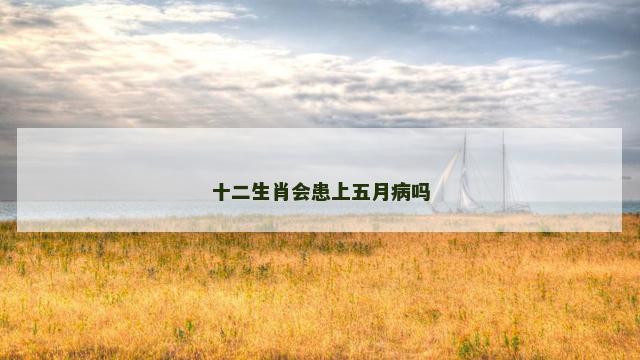 十二生肖会患上五月病吗