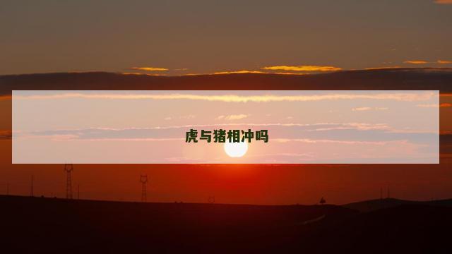 虎与猪相冲吗