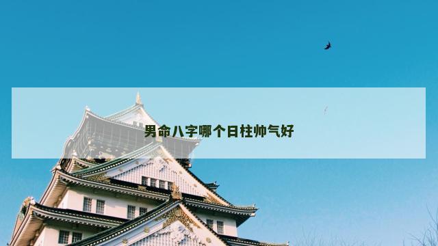 男命八字哪个日柱帅气好