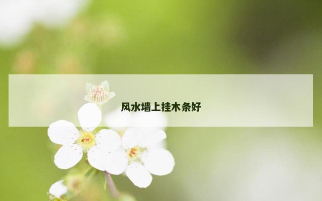 风水墙上挂木条好
