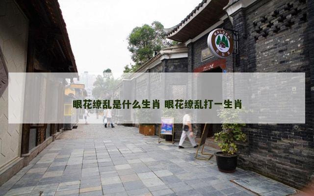 眼花缭乱是什么生肖 眼花缭乱打一生肖