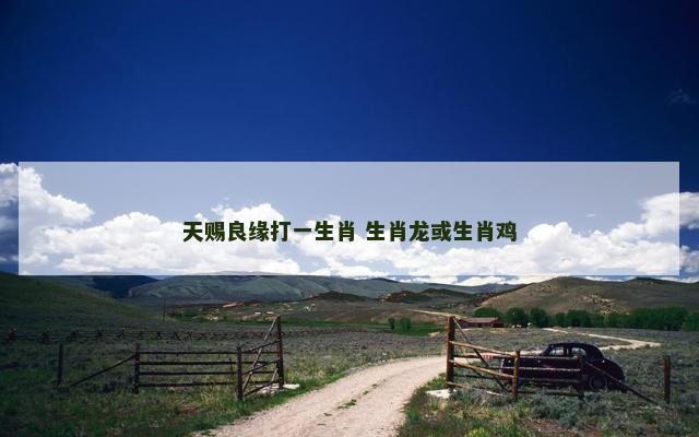 天赐良缘打一生肖 生肖龙或生肖鸡