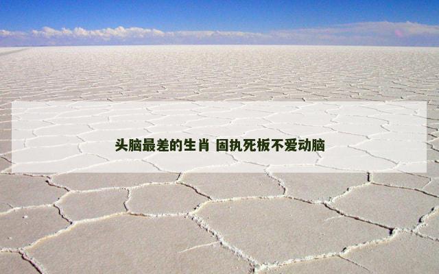 头脑最差的生肖 固执死板不爱动脑
