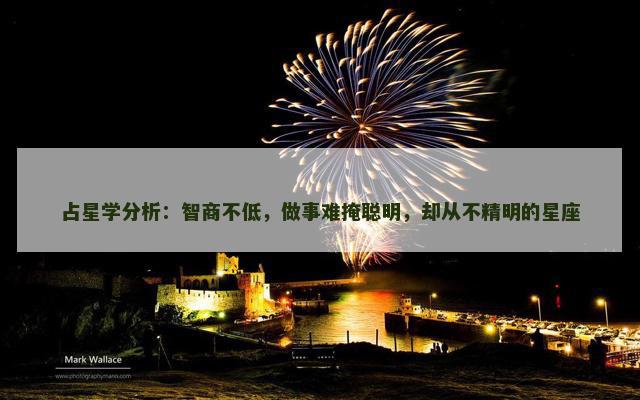 占星学分析：智商不低，做事难掩聪明，却从不精明的星座