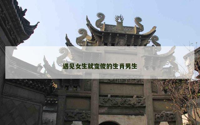 遇见女生就变傻的生肖男生