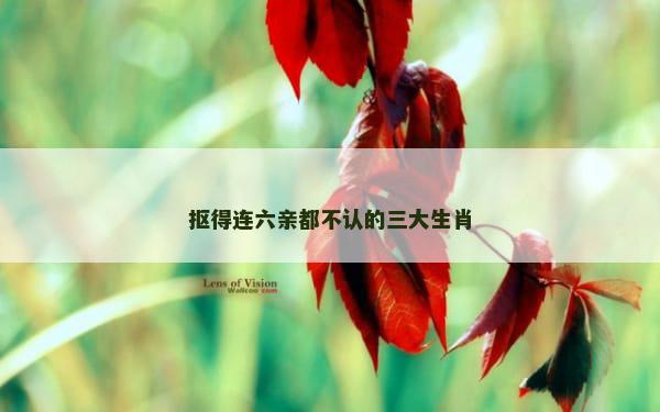 抠得连六亲都不认的三大生肖
