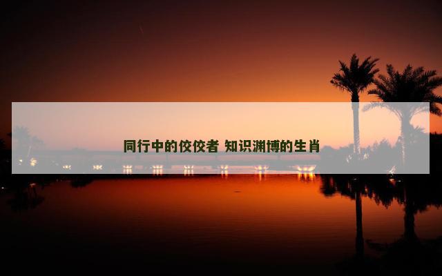 同行中的佼佼者 知识渊博的生肖