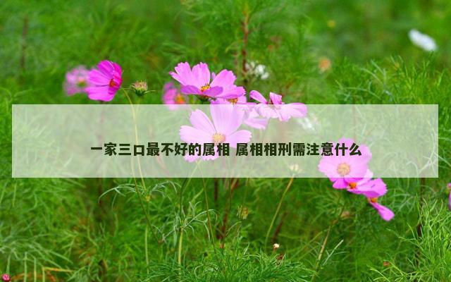 一家三口最不好的属相 属相相刑需注意什么