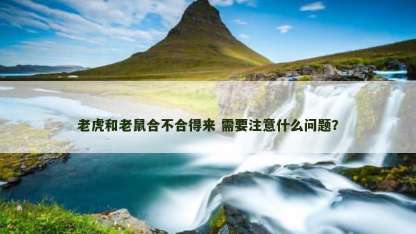 老虎和老鼠合不合得来 需要注意什么问题？