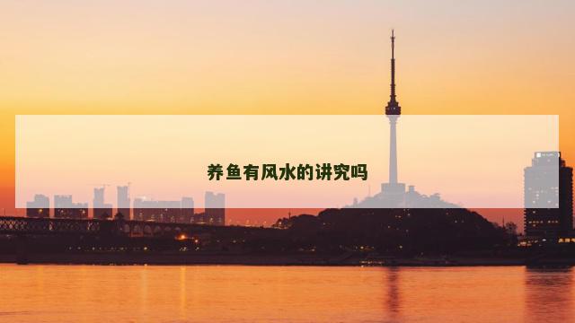 养鱼有风水的讲究吗