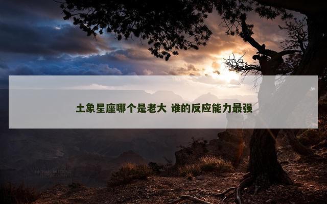 土象星座哪个是老大 谁的反应能力最强