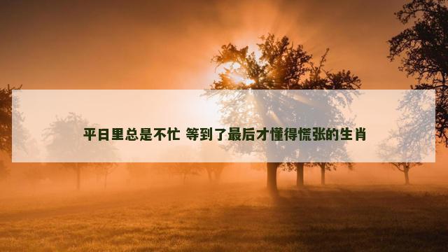 平日里总是不忙 等到了最后才懂得慌张的生肖