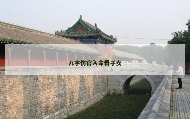 八字伤官入命看子女