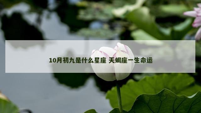 10月初九是什么星座 天蝎座一生命运