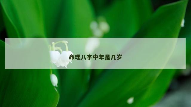 命理八字中年是几岁