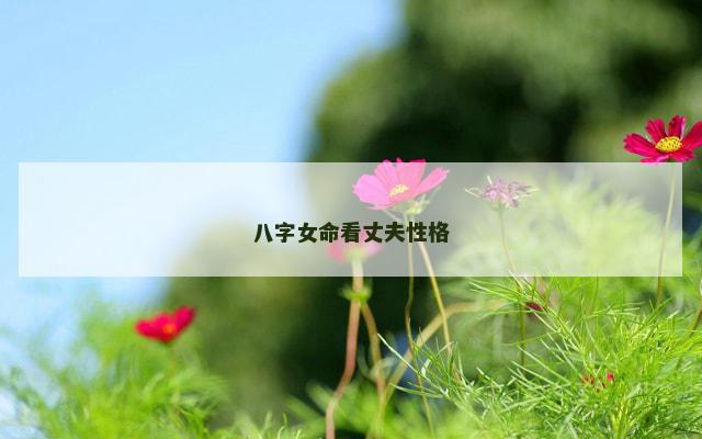 八字女命看丈夫性格