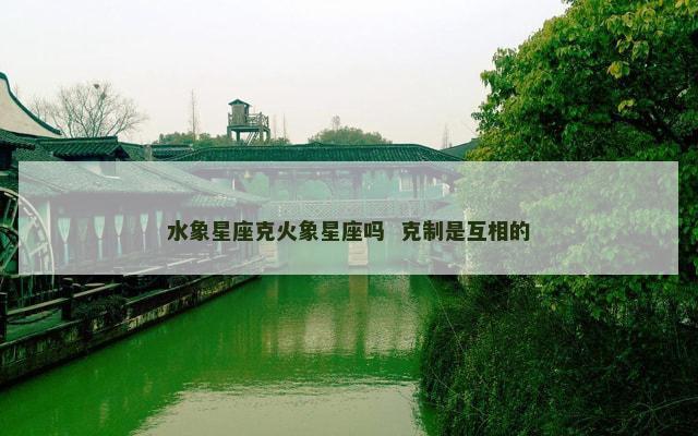 水象星座克火象星座吗  克制是互相的