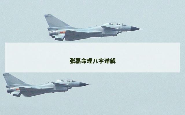 张磊命理八字详解