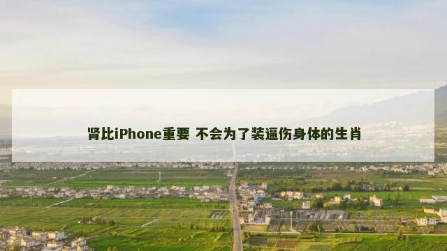 肾比iPhone重要 不会为了装逼伤身体的生肖