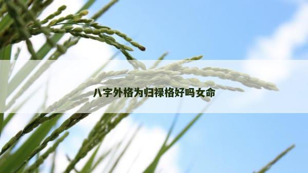 八字外格为归禄格好吗女命