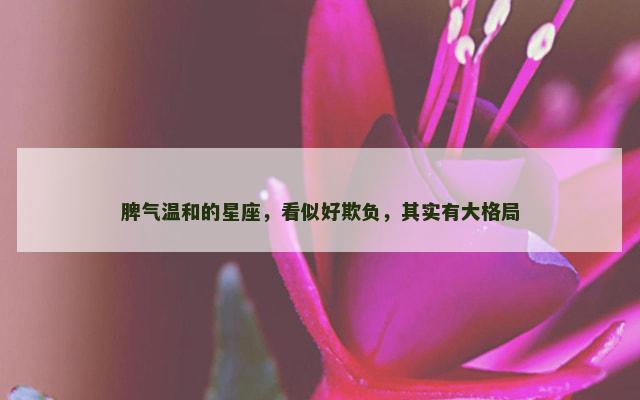 脾气温和的星座，看似好欺负，其实有大格局