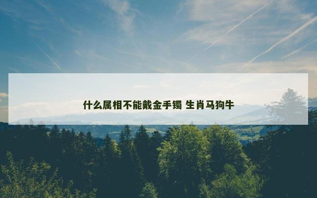 什么属相不能戴金手镯 生肖马狗牛