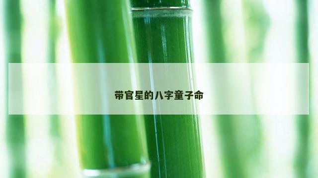 带官星的八字童子命
