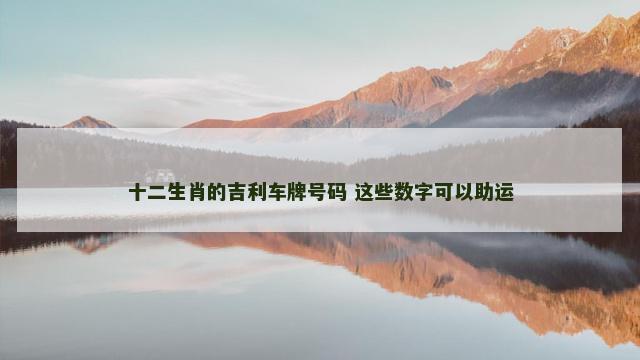 十二生肖的吉利车牌号码 这些数字可以助运