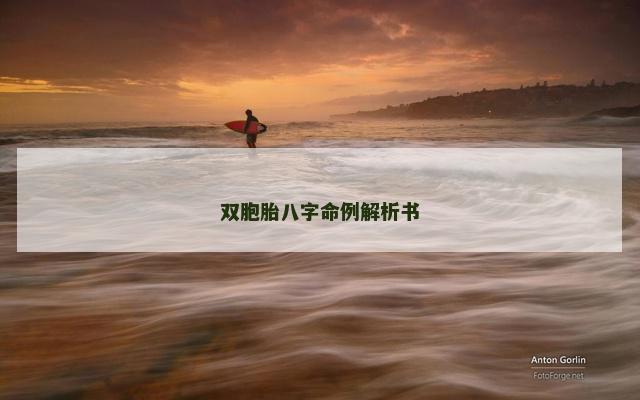 双胞胎八字命例解析书