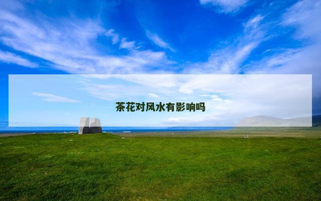 茶花对风水有影响吗