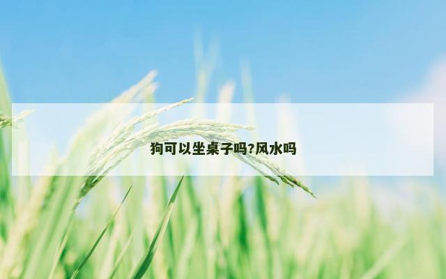 狗可以坐桌子吗?风水吗