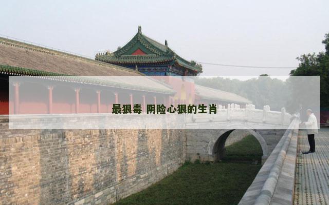 最狠毒 阴险心狠的生肖
