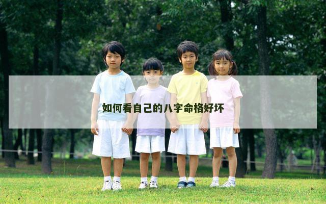 如何看自己的八字命格好坏
