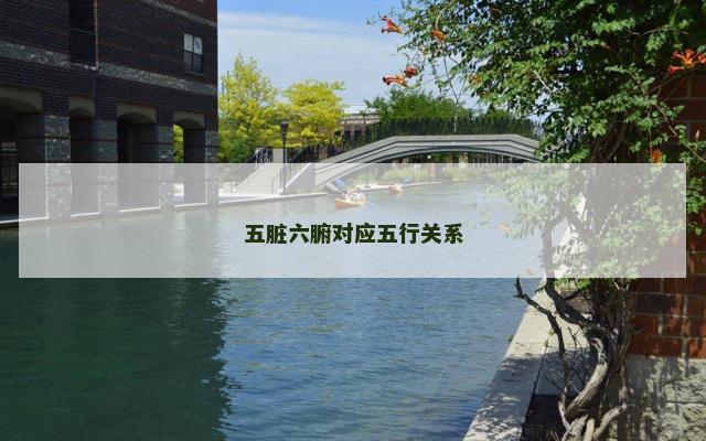 五脏六腑对应五行关系