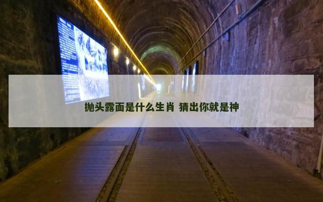 抛头露面是什么生肖 猜出你就是神