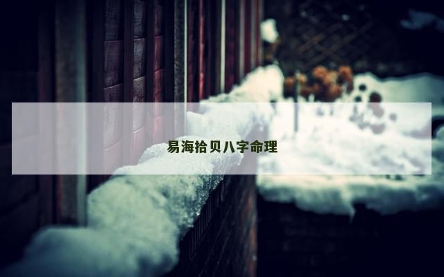 易海拾贝八字命理