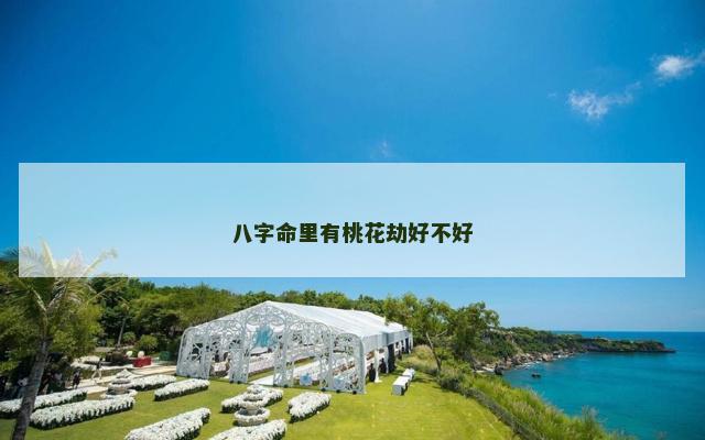 八字命里有桃花劫好不好