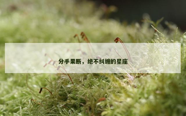 分手果断，绝不纠缠的星座