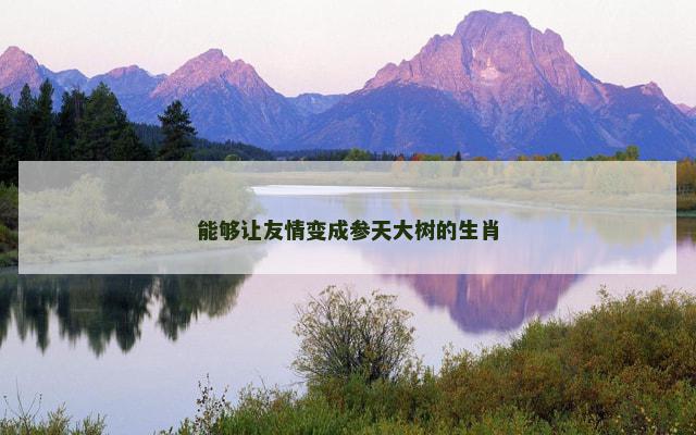 能够让友情变成参天大树的生肖