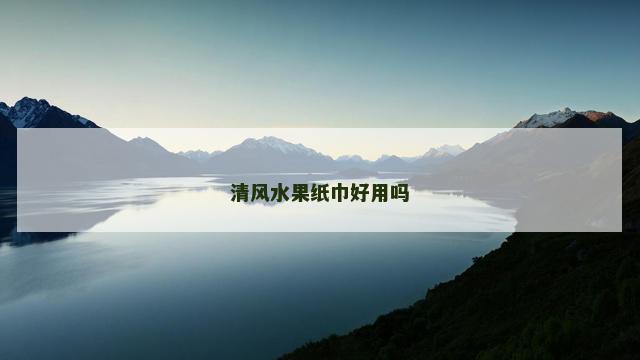 清风水果纸巾好用吗