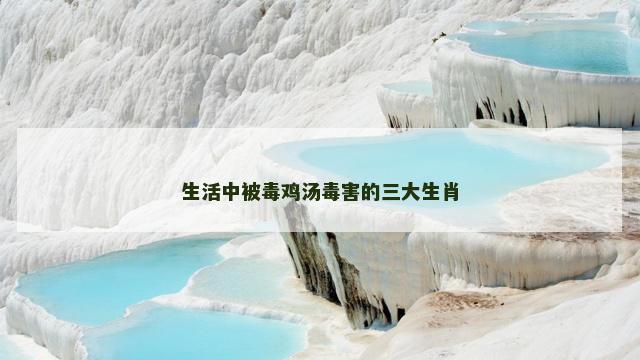 生活中被毒鸡汤毒害的三大生肖