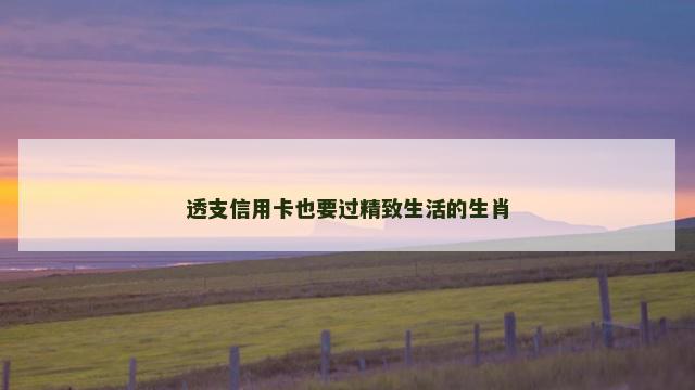 透支信用卡也要过精致生活的生肖