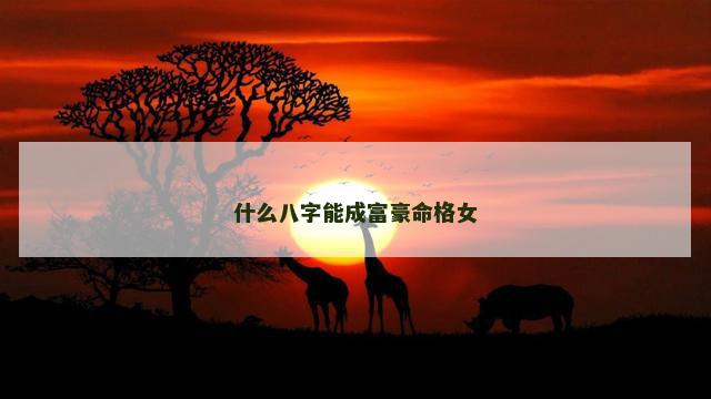 什么八字能成富豪命格女