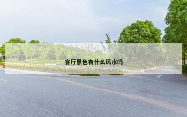 客厅黑色有什么风水吗